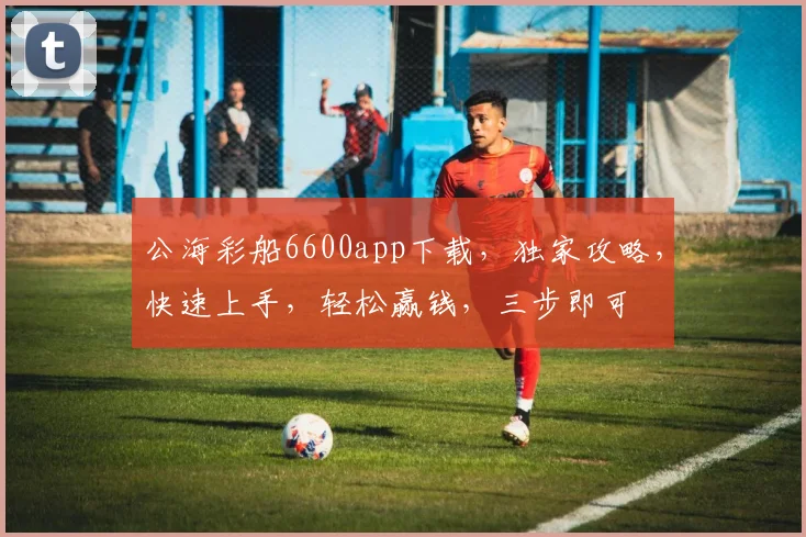 公海彩船6600app下载，独家攻略，快速上手，轻松赢钱，三步即可