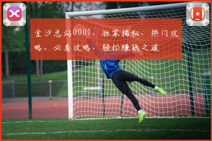 金沙总站0001，独家揭秘，热门攻略，必看攻略，轻松赚钱之道